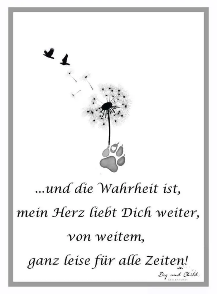 Condolence image of Sandra mit Rika tief im Herzen