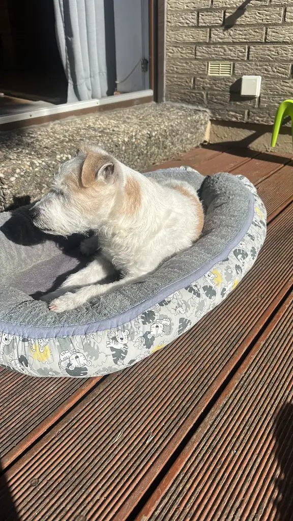 Condolence image of Christina Hesse