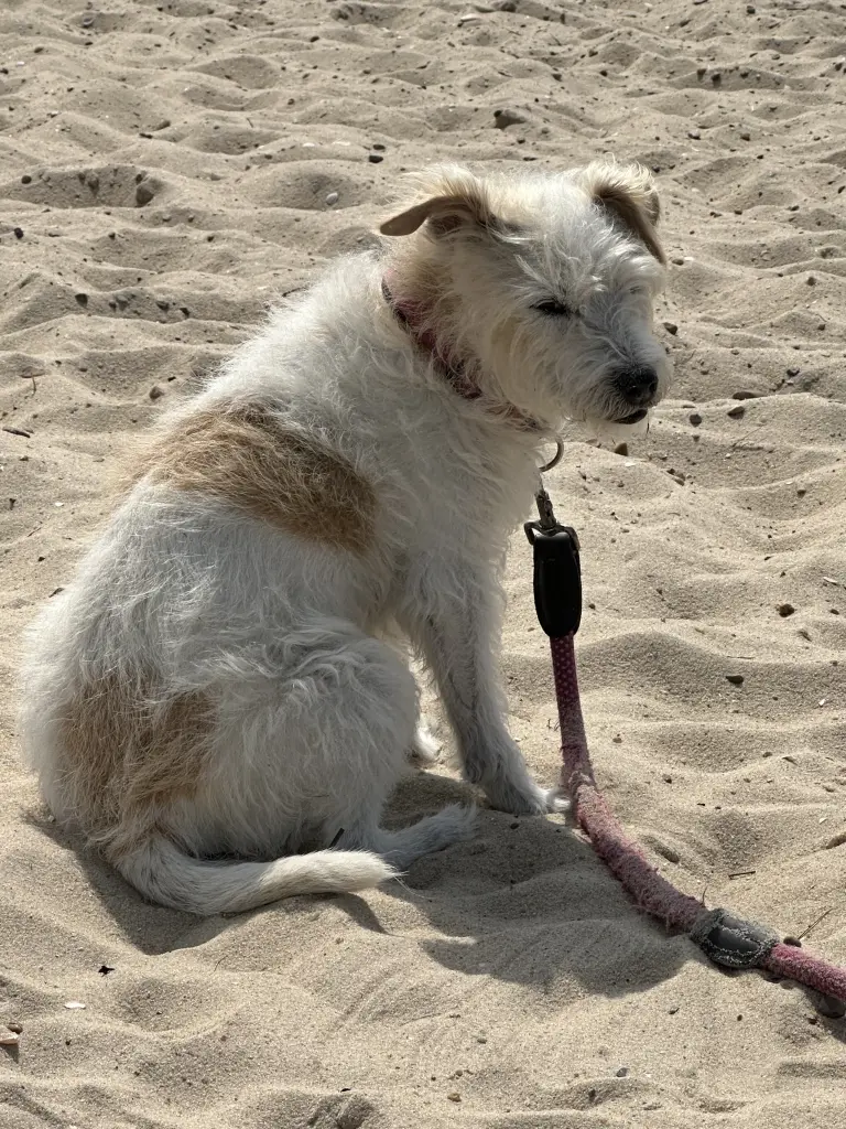 Condolence image of Christina Hesse