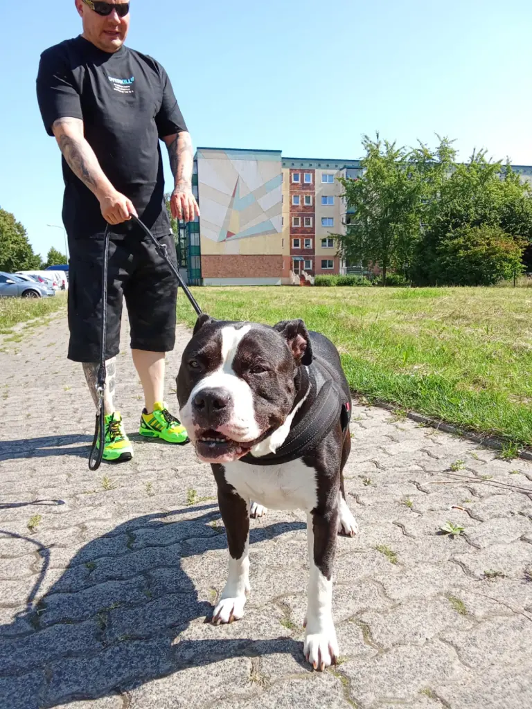 Sonnenschein war ebenfalls Dein Element