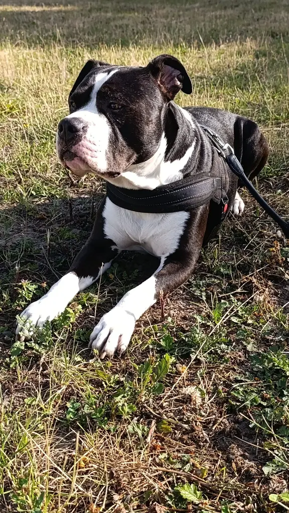 Erstmal die Lage checken