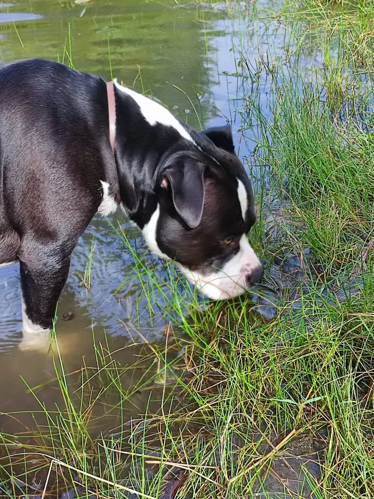 Na, was ist denn da im Wasser?