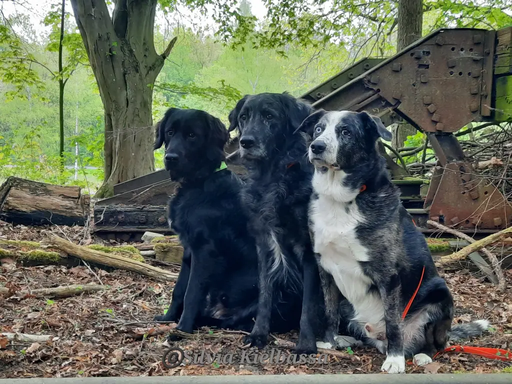 Condolence image of Djego, Merlin, Cole, Volker und Silvia