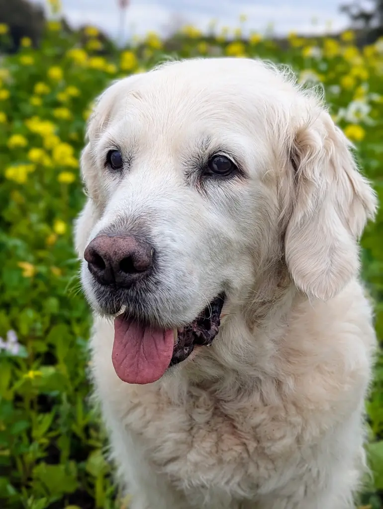 Image from Funny Faye