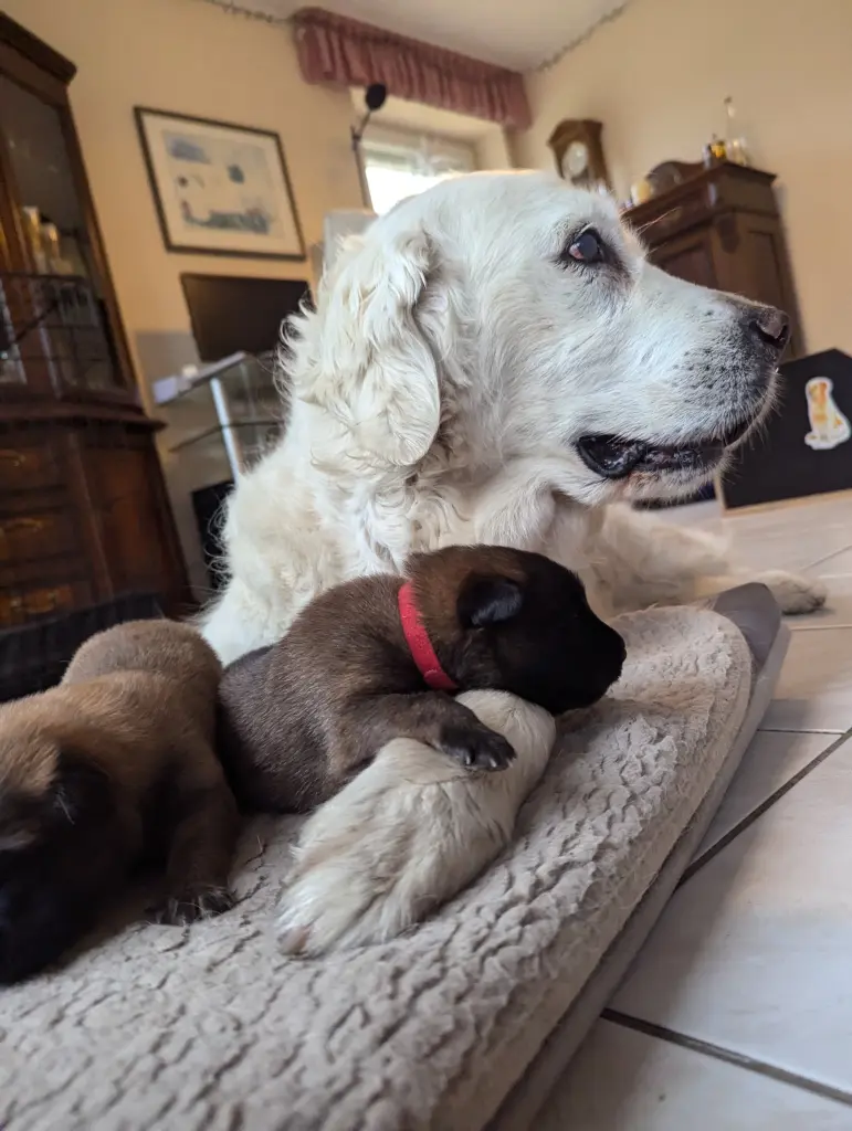 Image from Funny Faye