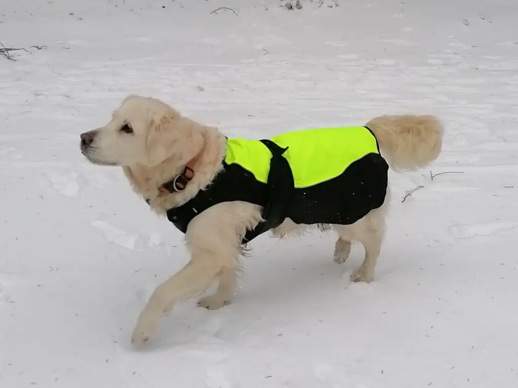 Image from Funny Faye