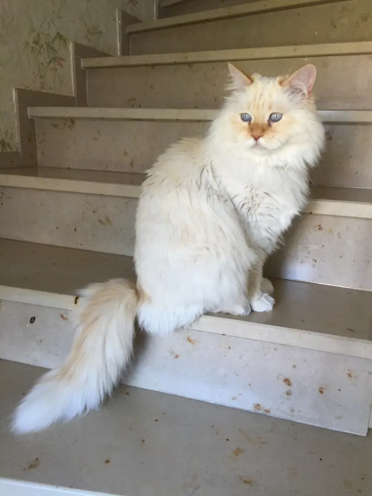 Bild von Moritz Davidson