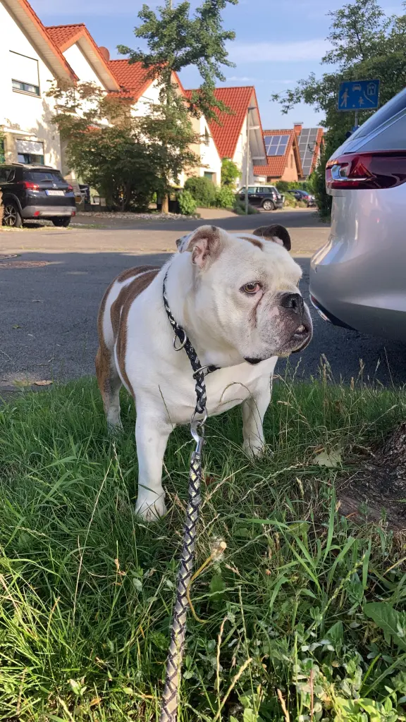 Condolence image of Inga