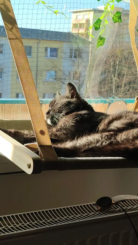 Condolence image of Jaqueline