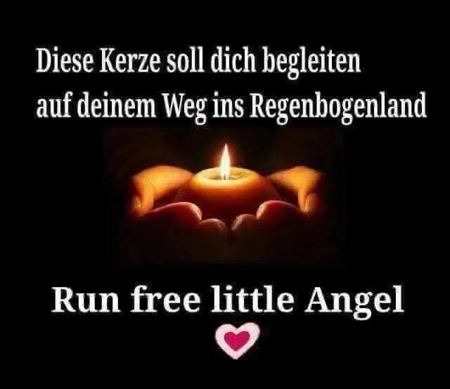 Condolence image of Lydia mit Sternchen Tommy, Balu, Tammi & Erwin