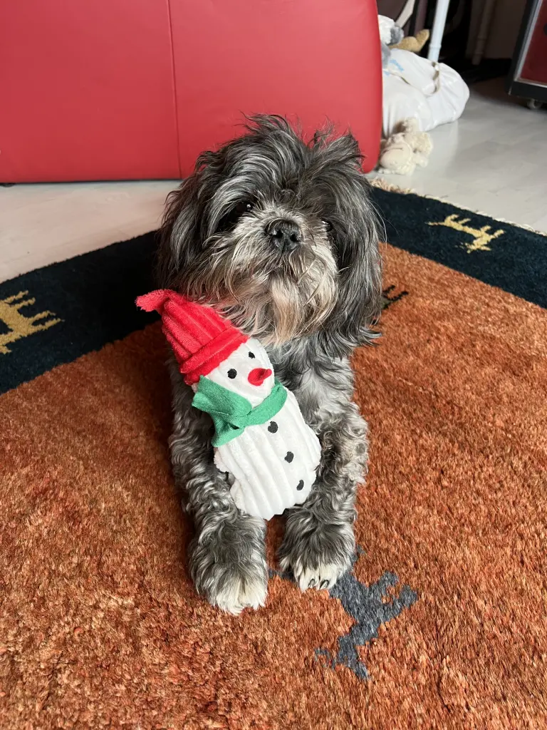 Image from Al Pincho