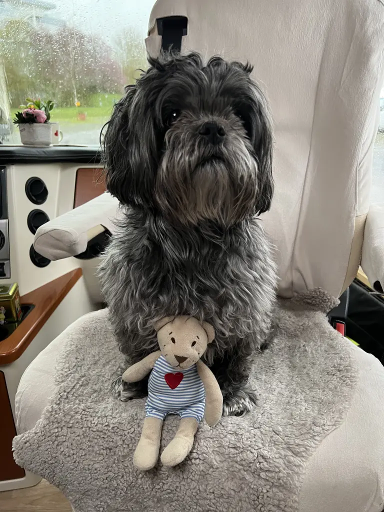 Image from Al Pincho