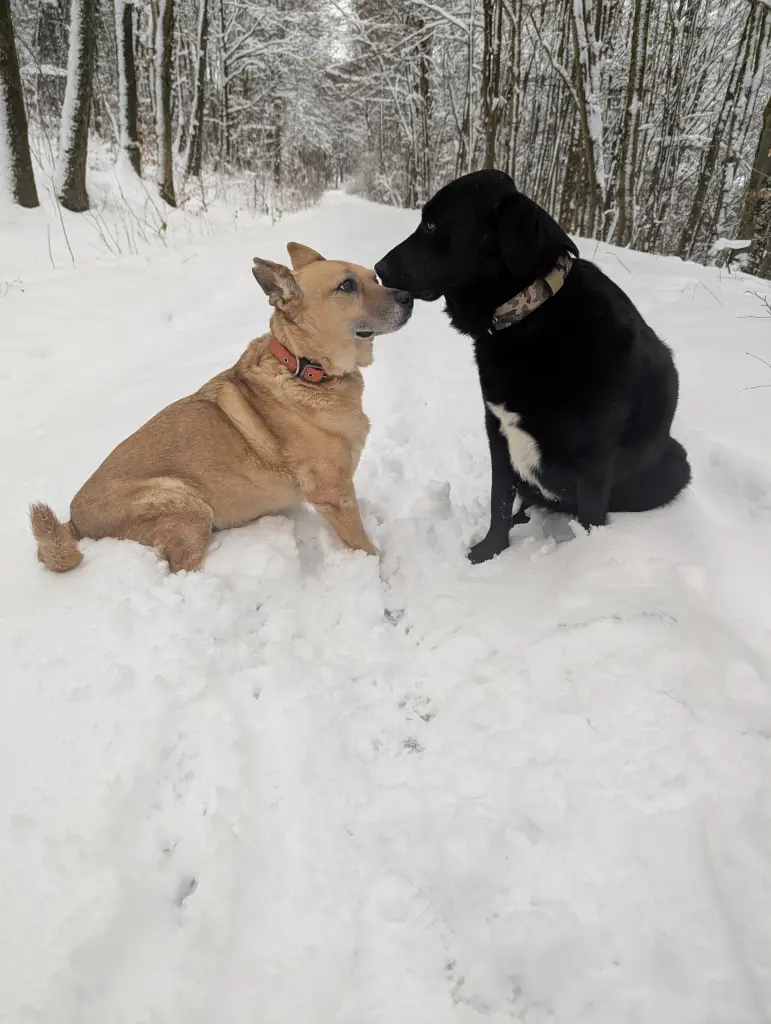 Kathy mit ihrer besten Freundin Alina die auch bei uns lebt.