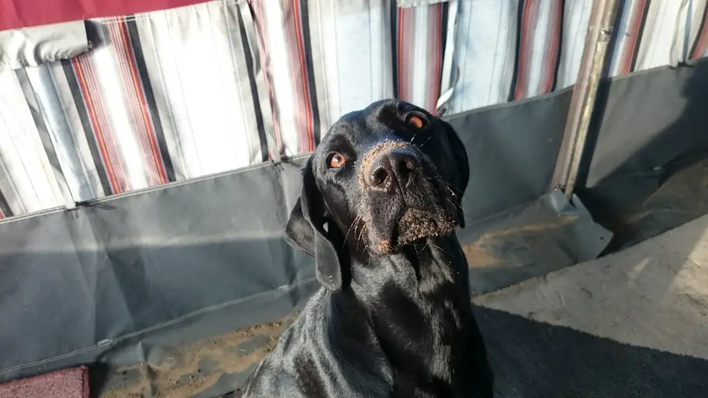 Condolence image of Angelika Thomas