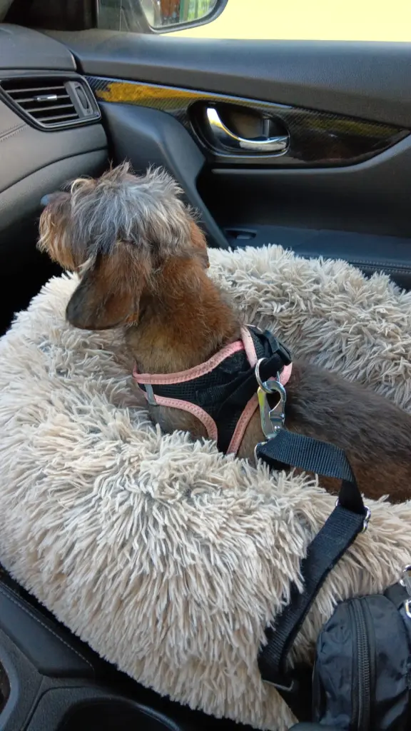 Auto fahren war toll