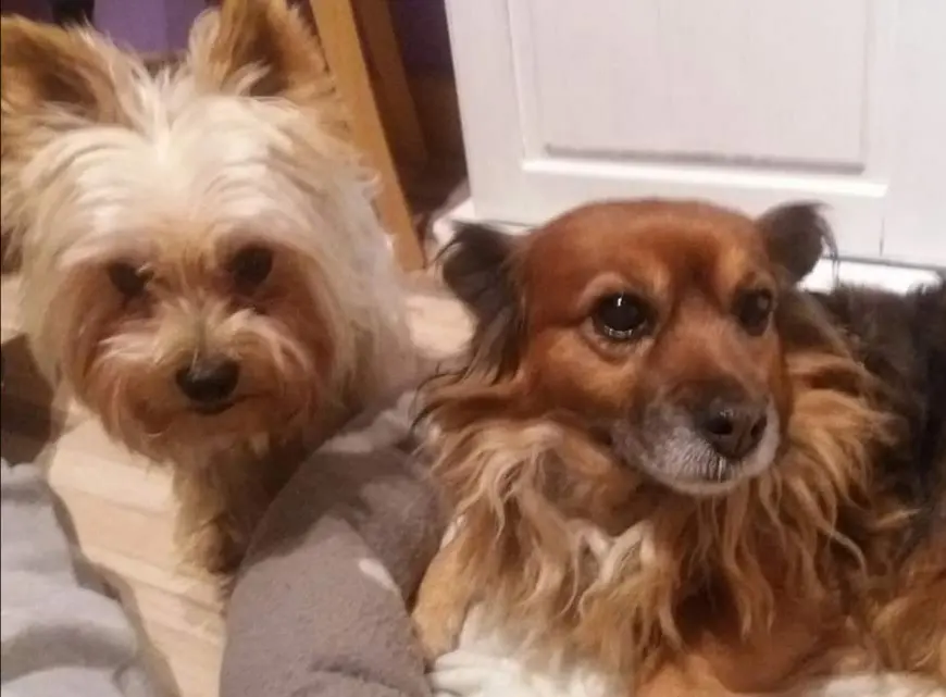 Condolence image of INA SEVERITT