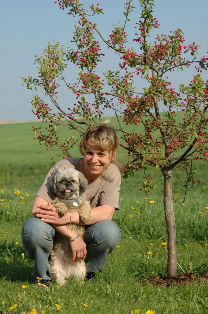Condolence image of Kathrin mit Susi im Herzen