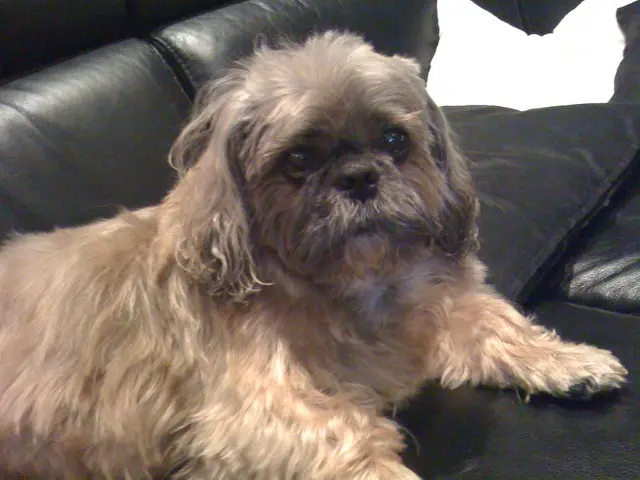 Condolence image of Manuela