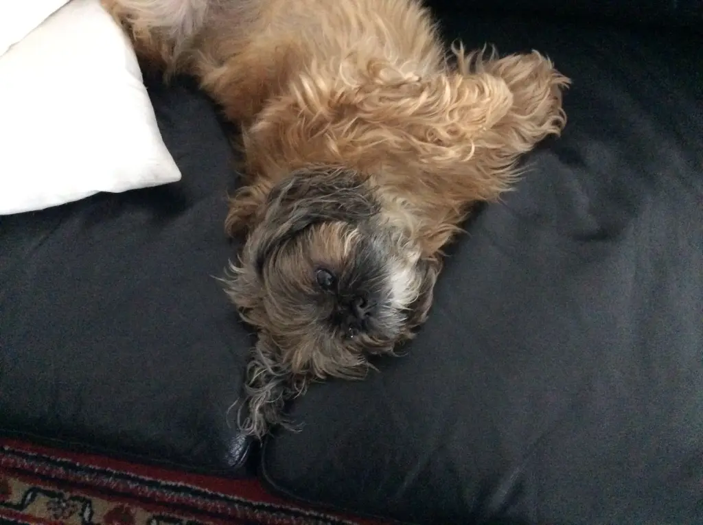 Condolence image of Unbekannt