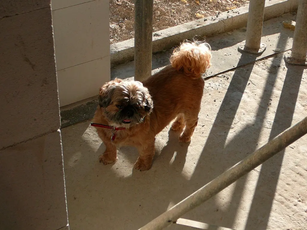 Andachtsbild von Manuela