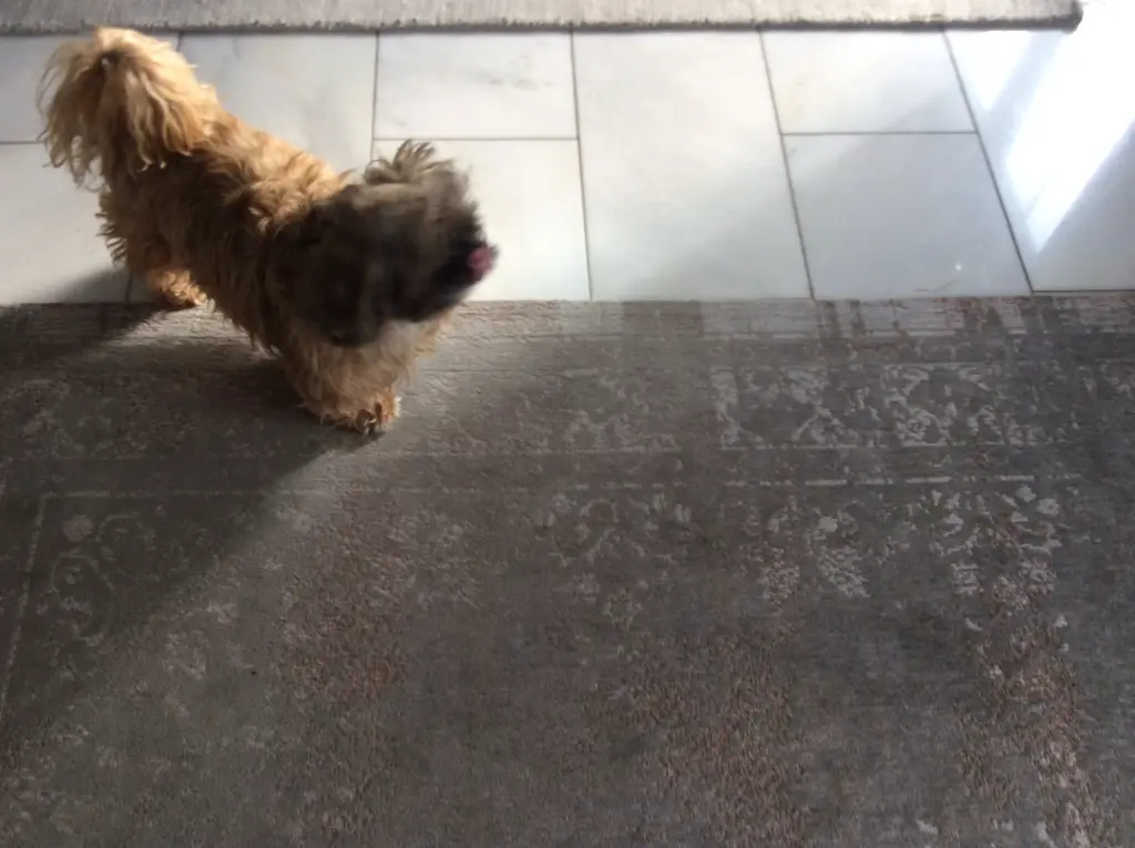 Andachtsbild von Manuela