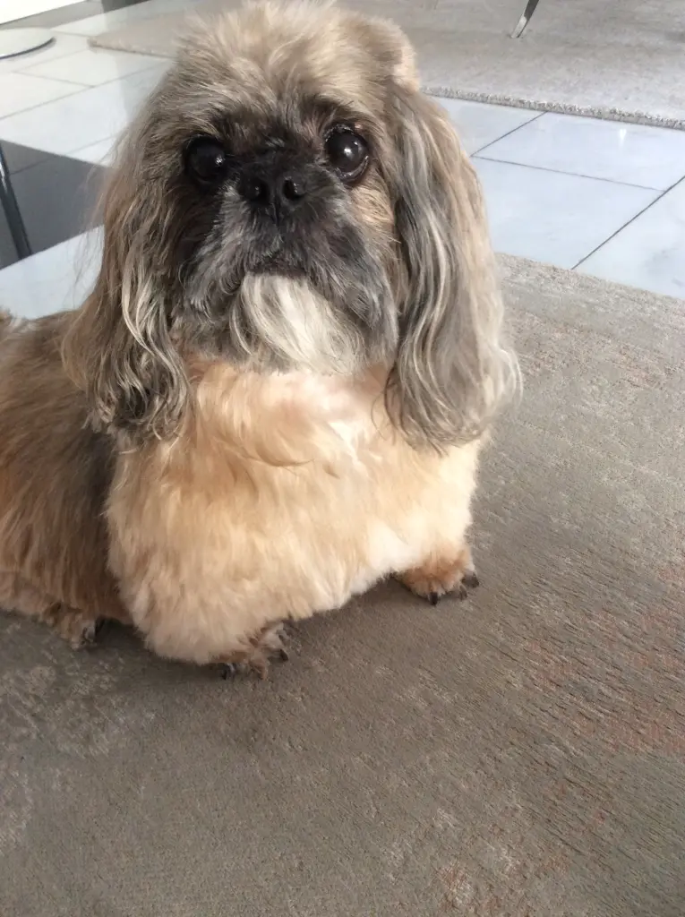 Condolence image of Manuela