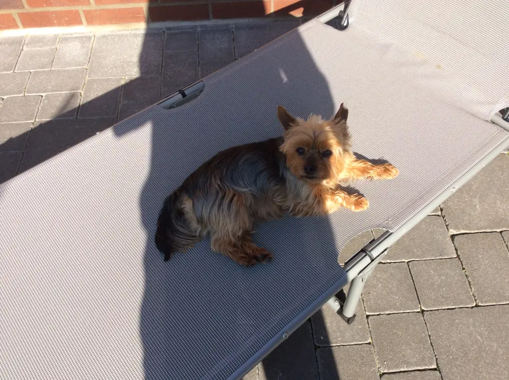 Condolence image of Manuela