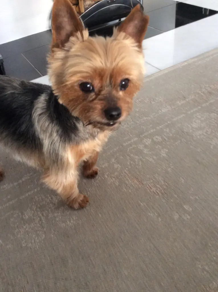 Condolence image of Manuela