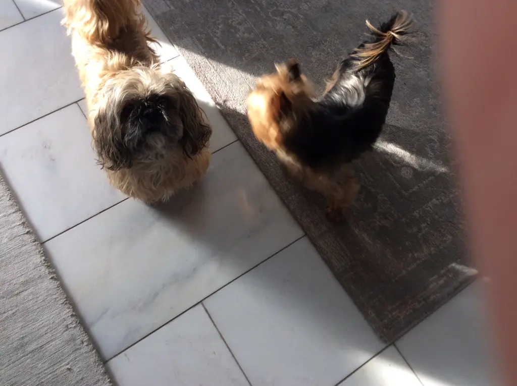 Condolence image of Manuela