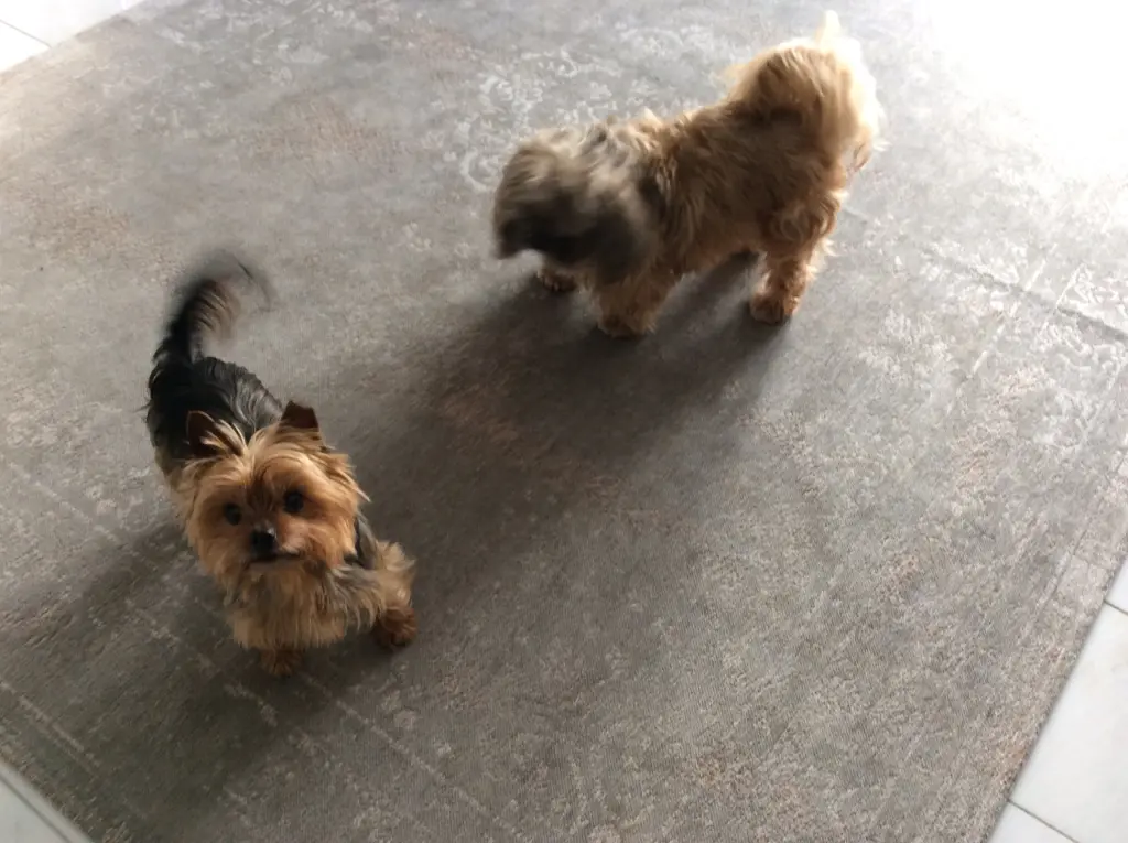 Condolence image of Manuela