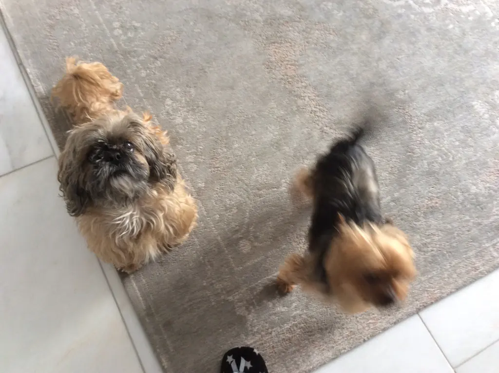 Condolence image of Manuela