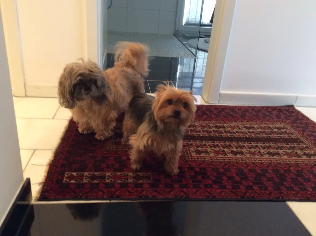 Condolence image of Manuela