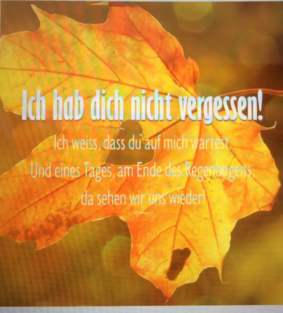 Condolence image of Manuela