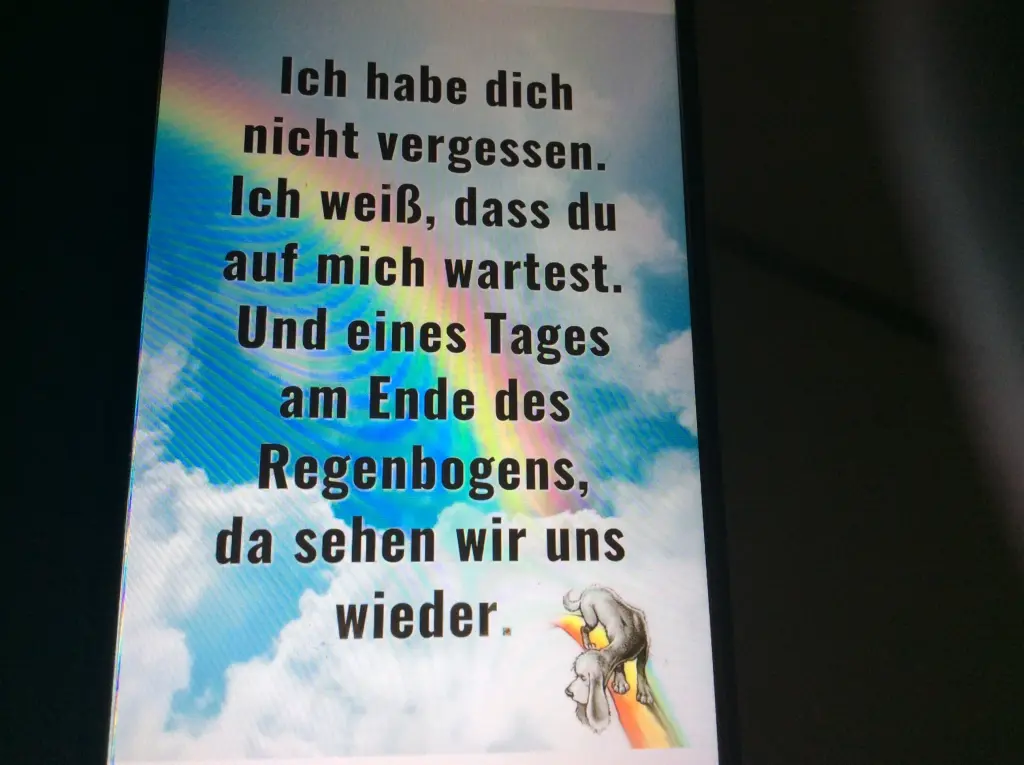 Condolence image of Manuela