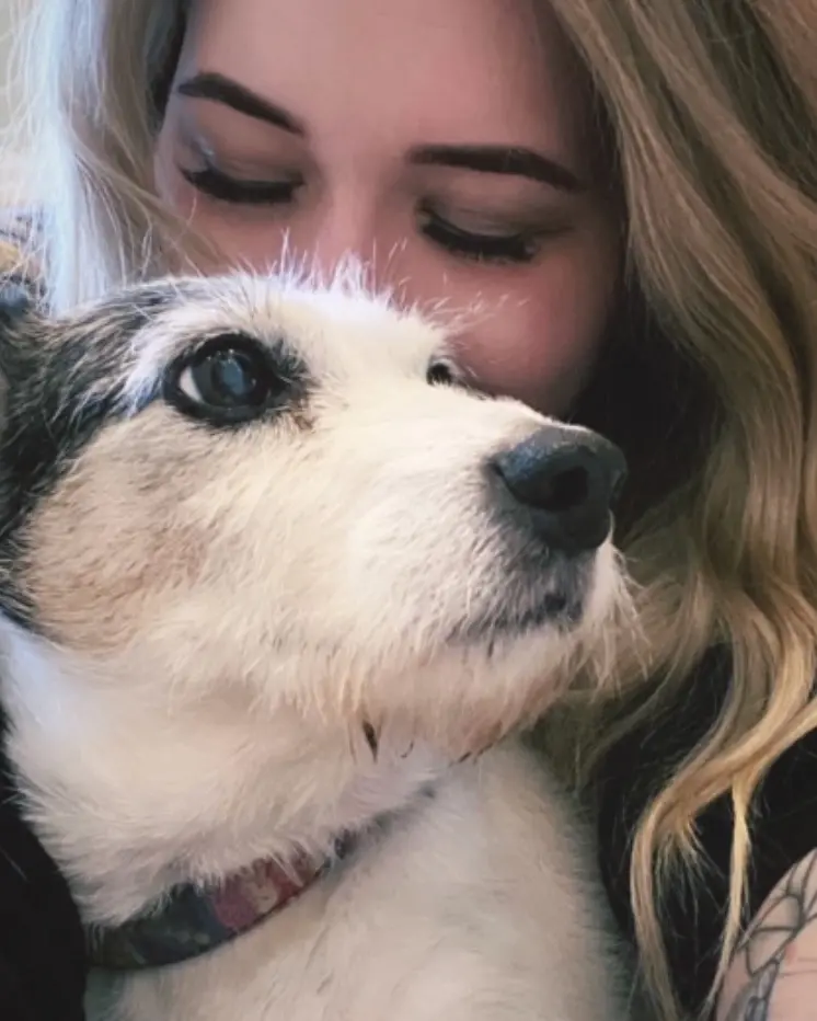 Condolence image of Vanessi