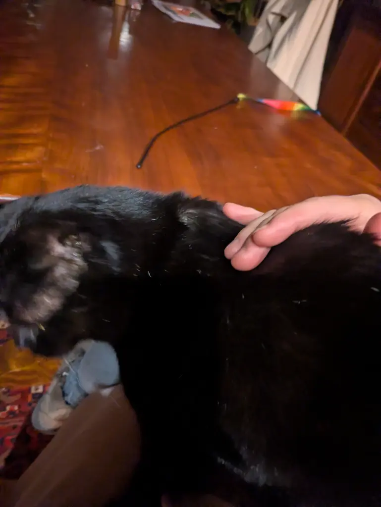 Condolence image of Mama Moni