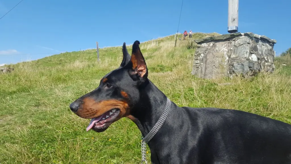 Image from Coop