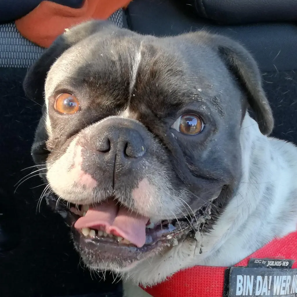 einfach nur Spikey ♥