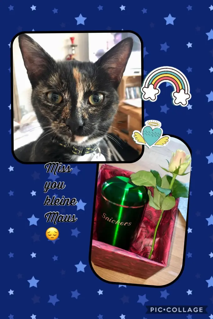 Image from Snickers