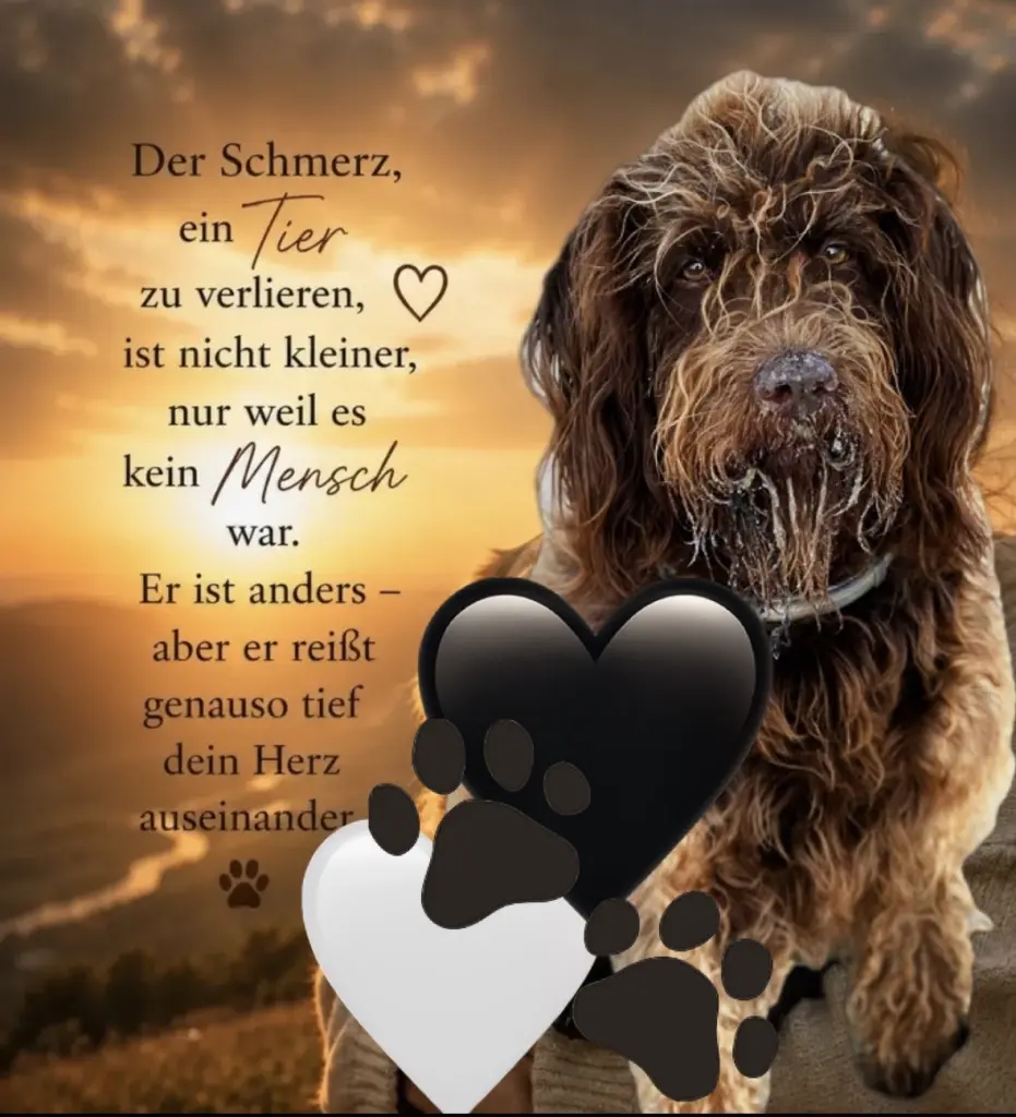 Image from Oskar