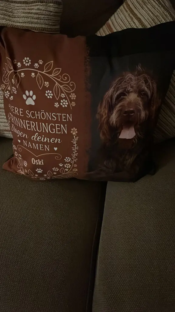 Image from Oskar