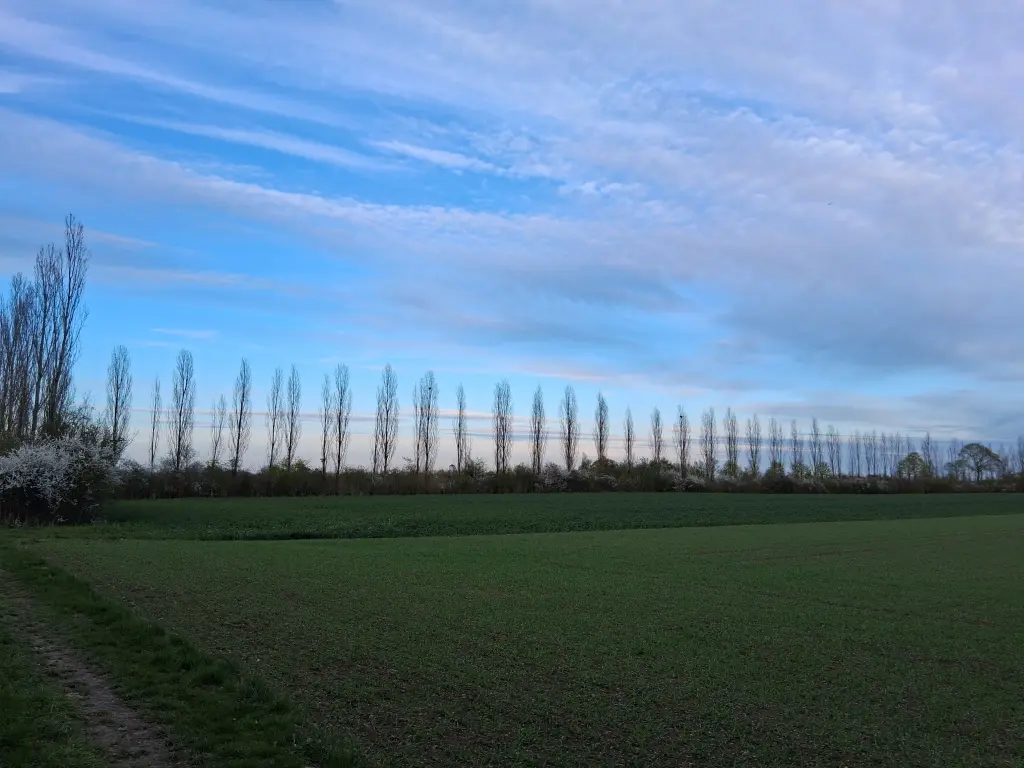 Condolence image of Erika Cremer