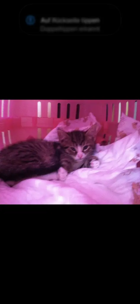 Der erste Tag bei uns