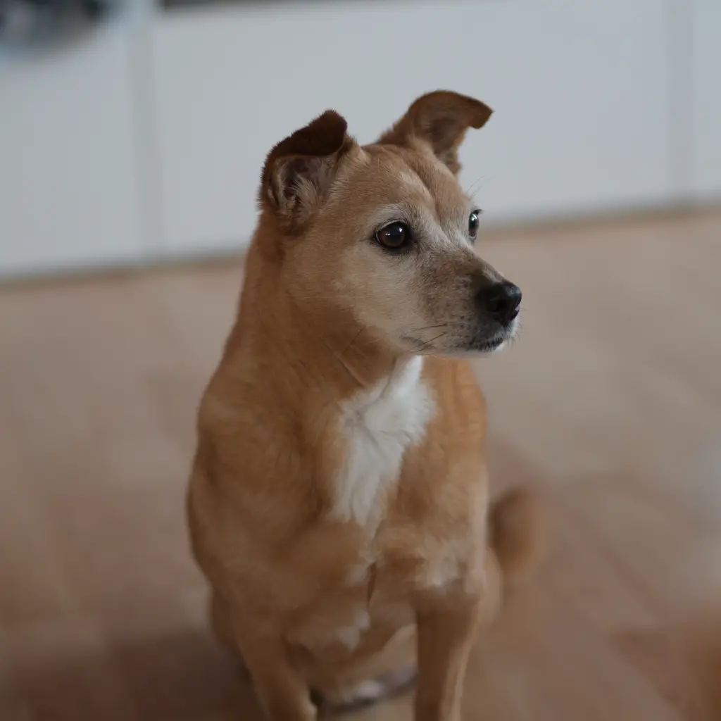 Condolence image of Sascha Bär