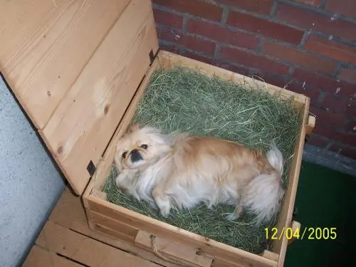 Image from meine süße  Loewin