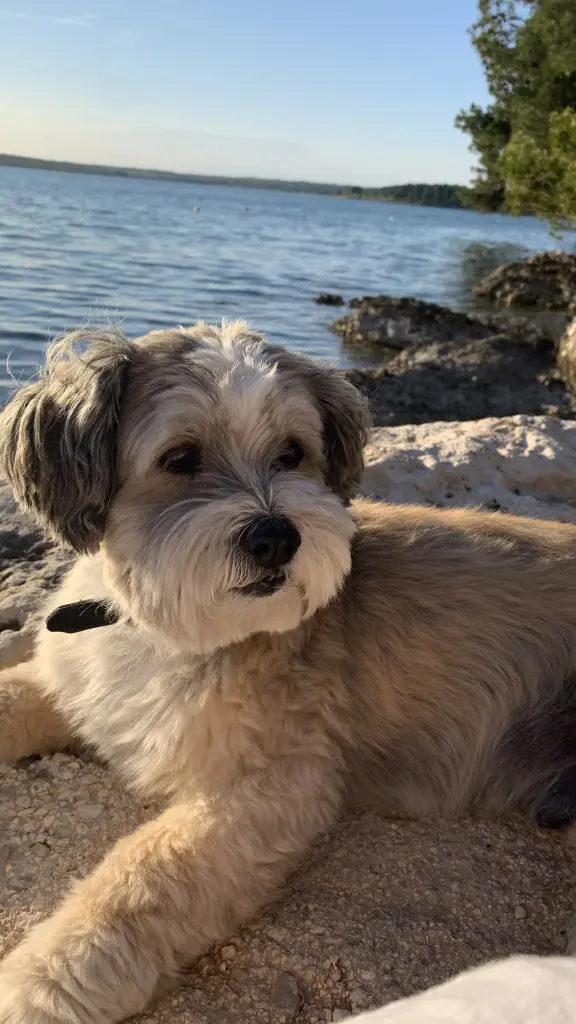 Condolence image of Reda Hornung