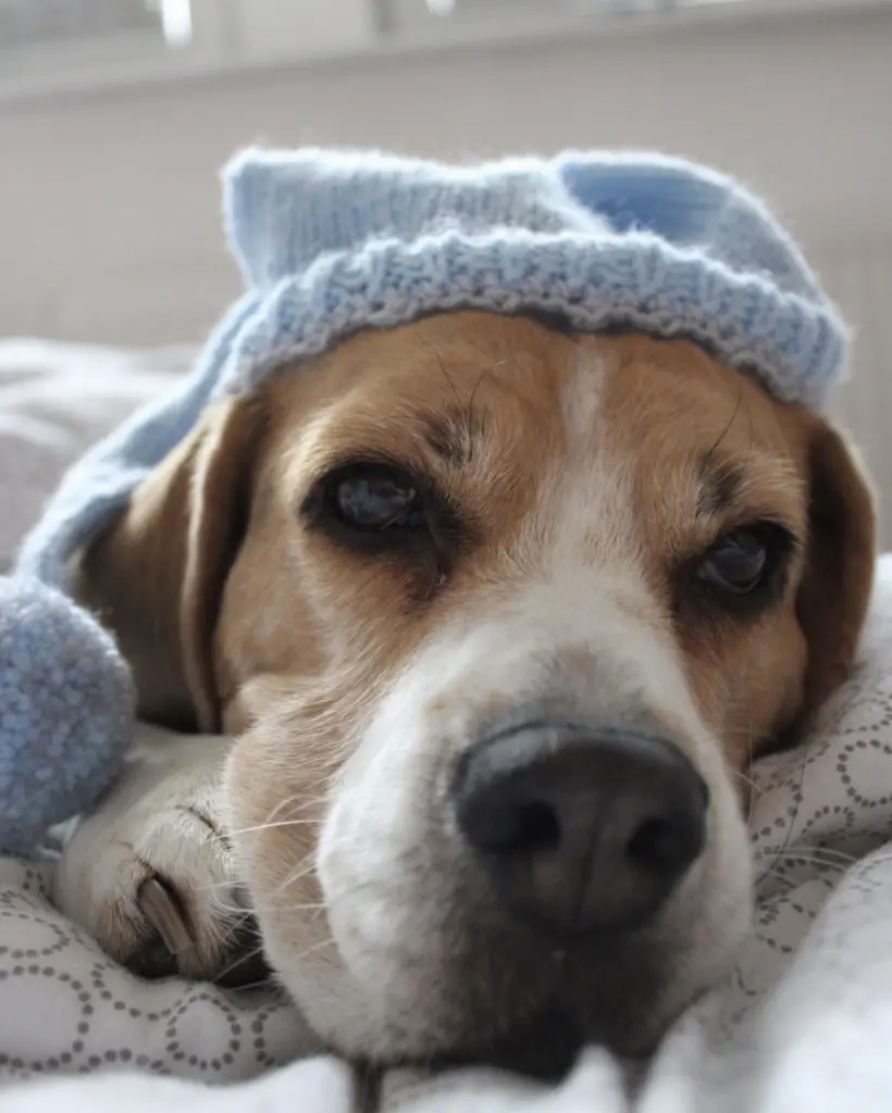 Condolence image of Wenke mit Lilli tief im❤️