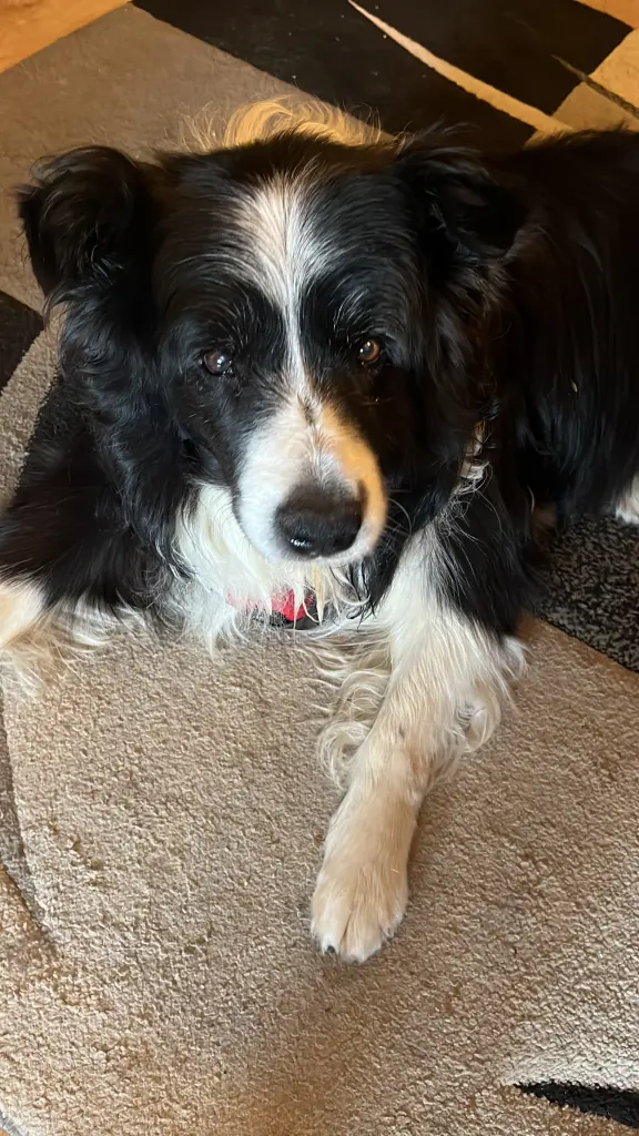 Condolence image of Stefanie Scherer