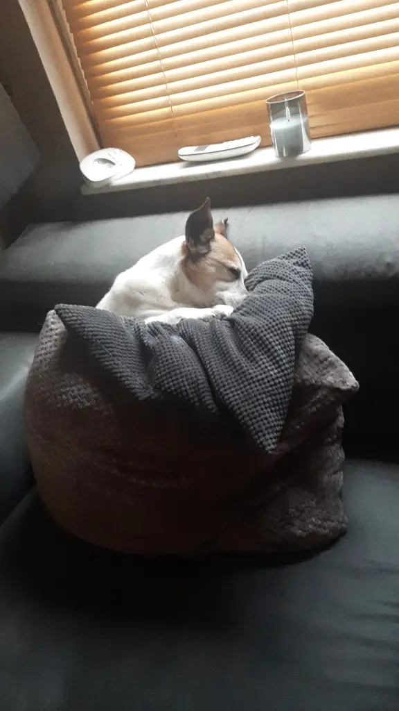 Condolence image of Noah Rittersen