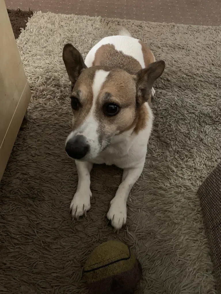 Andachtsbild von Michelle